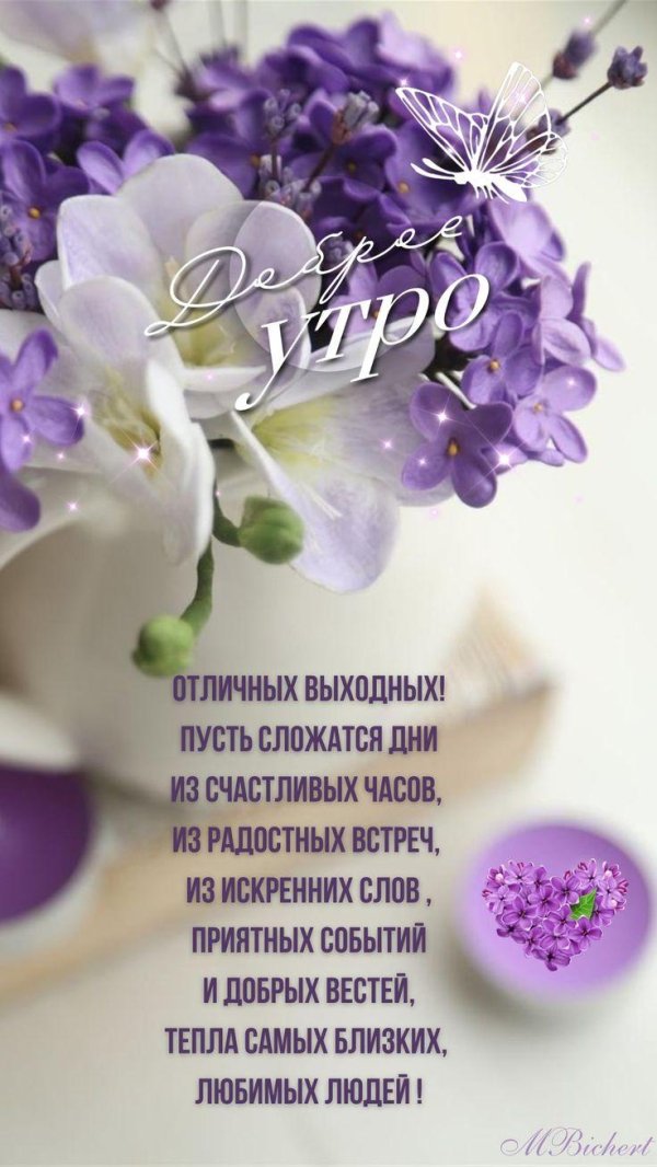 добрый день доброе утро