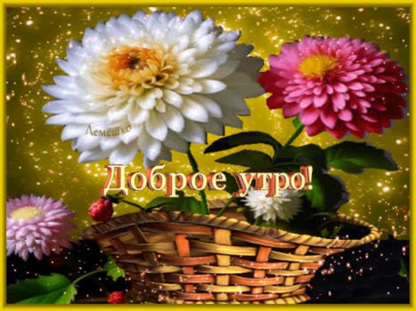 анимированные открытки доброе утро