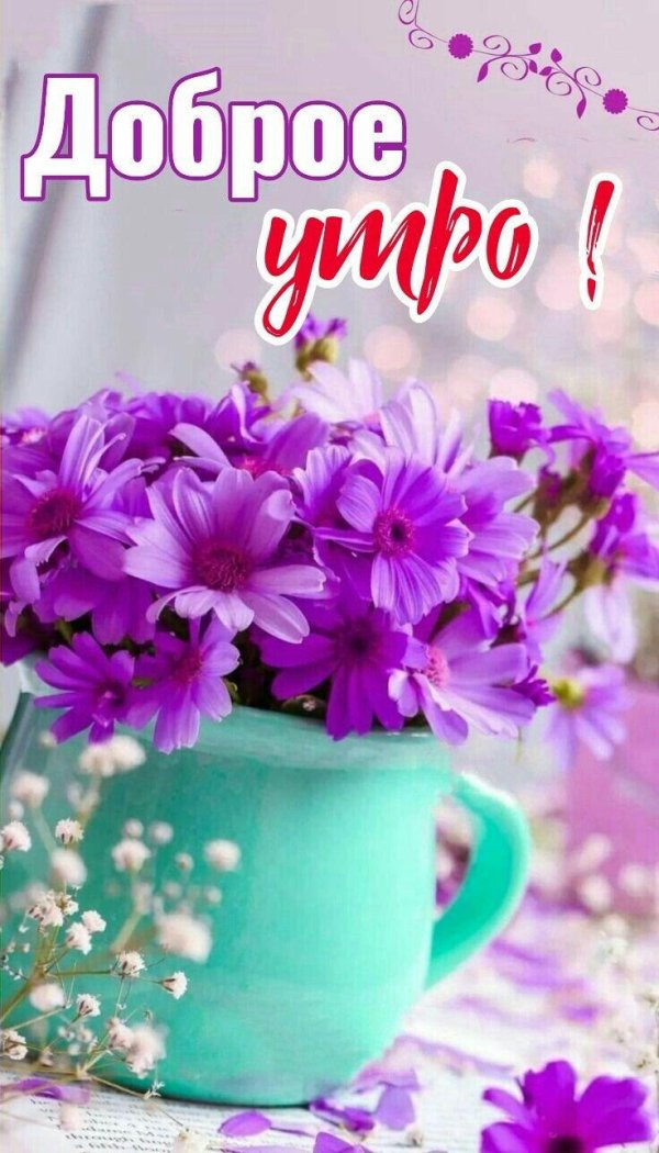 цветочное доброе утро