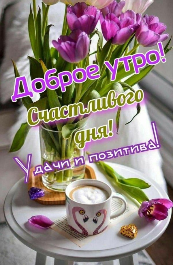 с добрым утром