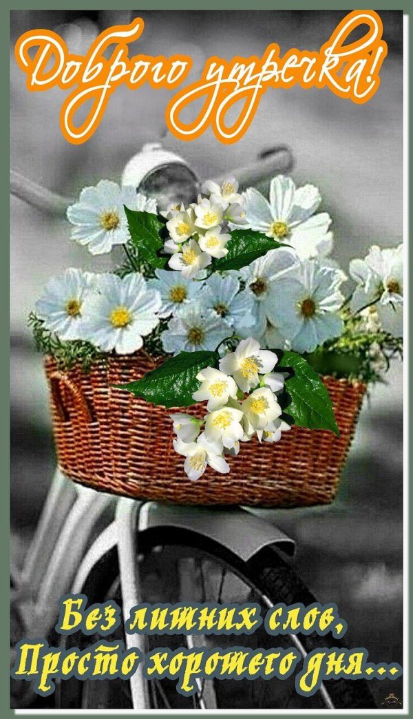 добра утра