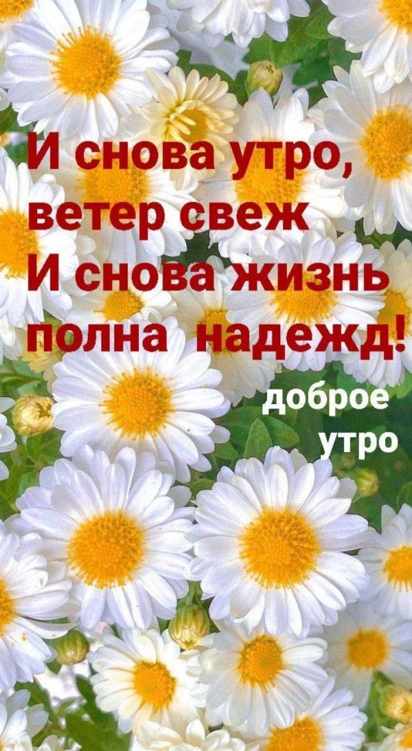 добра утра