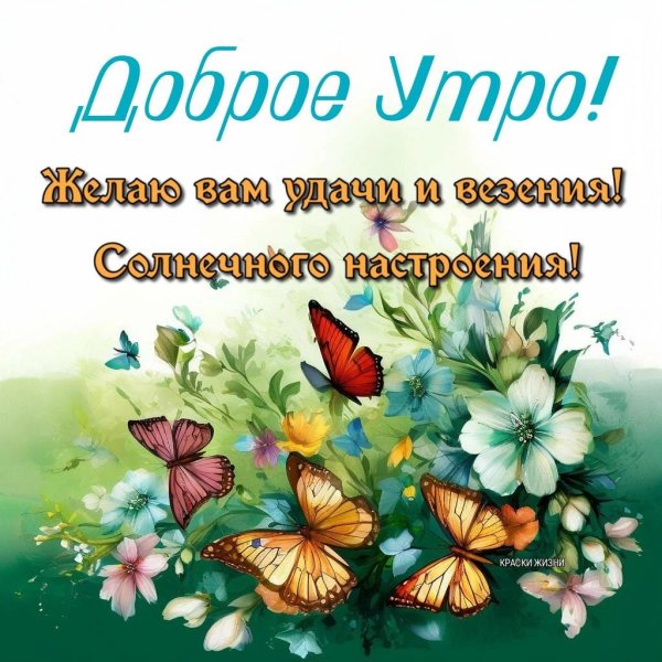 доброе утро летнее открытки