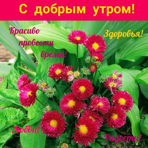 доброго утра здоровье