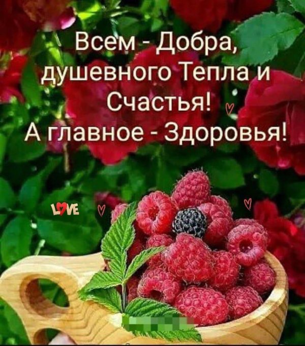 главное здоровье