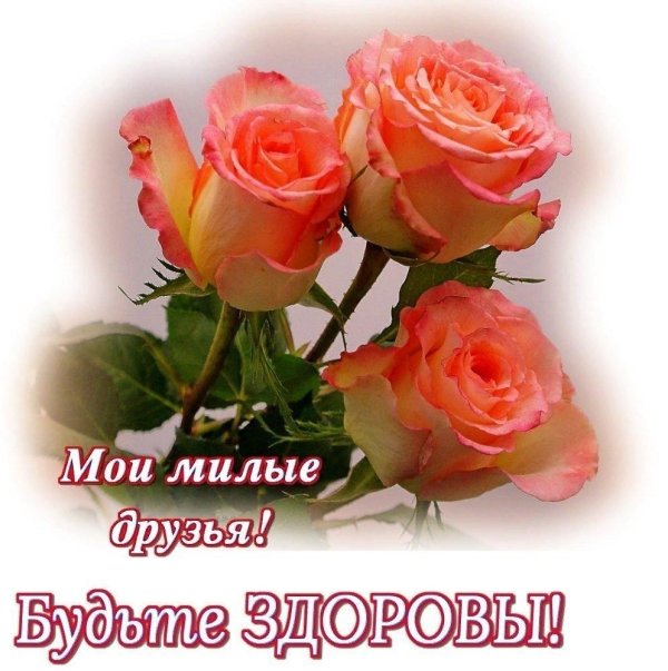 милой подруге