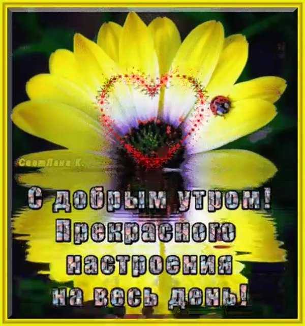 с добрым утром летнее