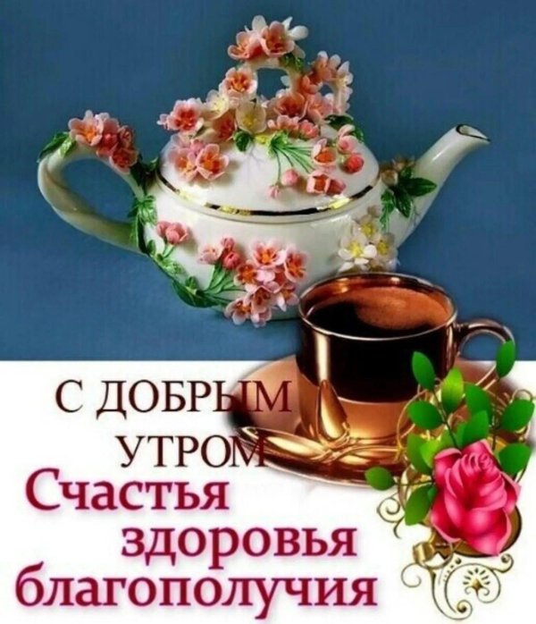 фарфоровый сад светланы орешкиной