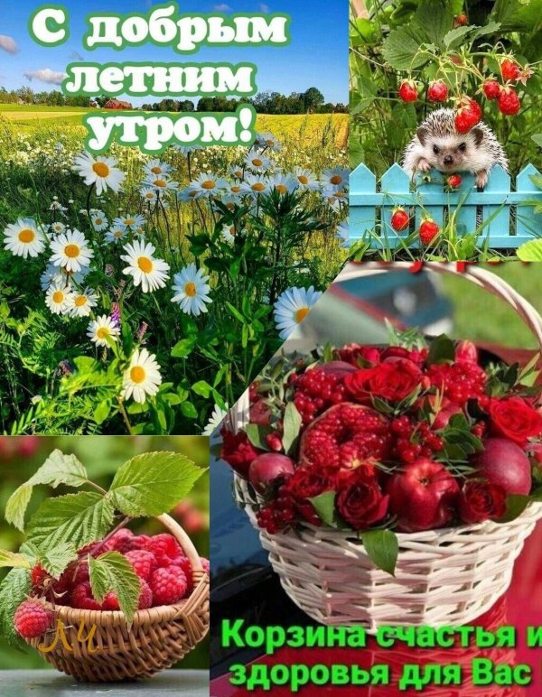 пожелания с добрым летним утром