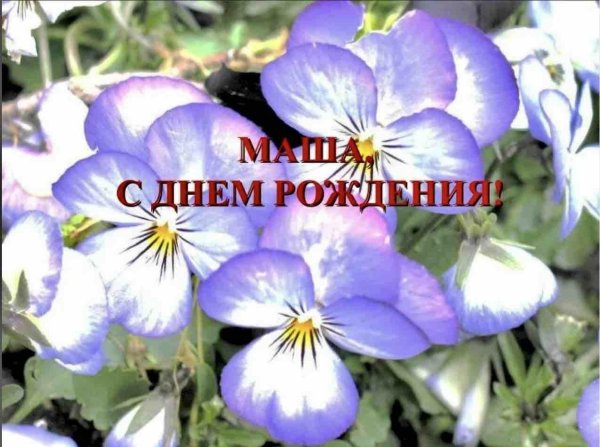 открытка на день рождения маше