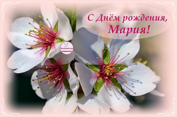 с днём рождения мария