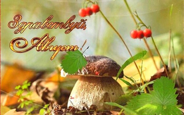 тит листопадник