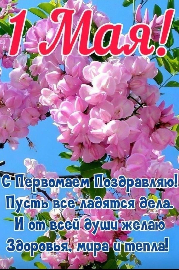 открытка 1 мая