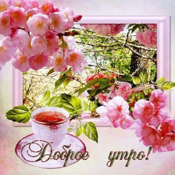 весеннего доброго утра