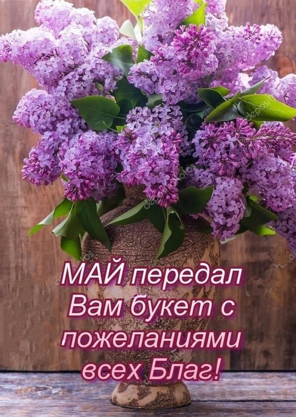 сирень букет