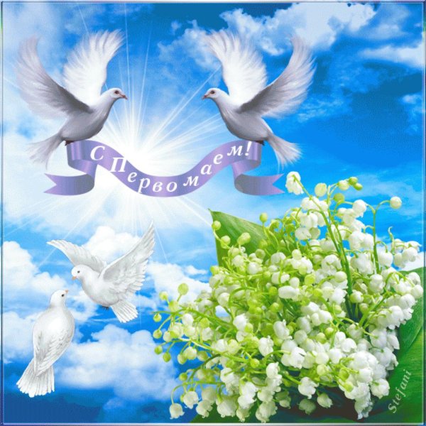 первомай голуби