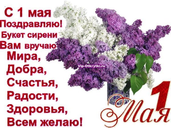 букет сирени