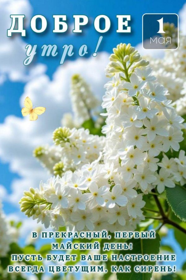 доброе утро майское цветение