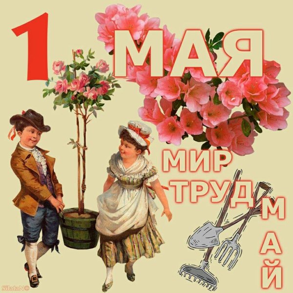мир труд май