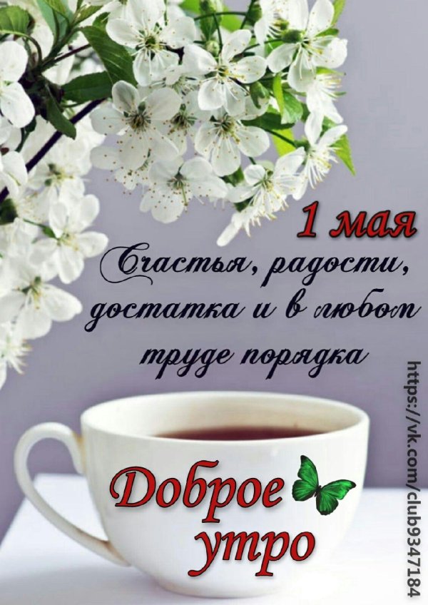доброго майского утра