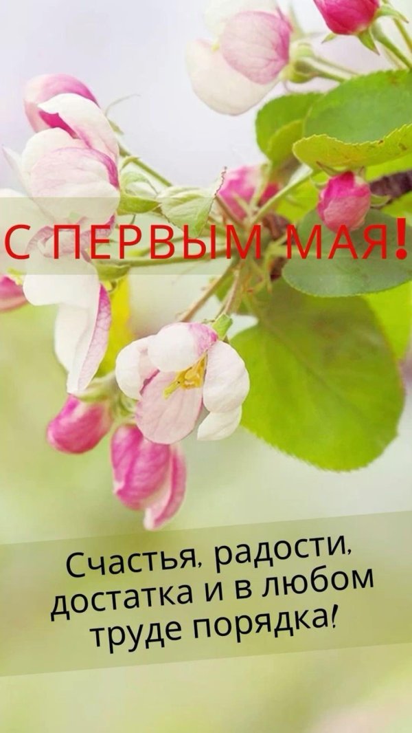 праздник труда день труда первое мая