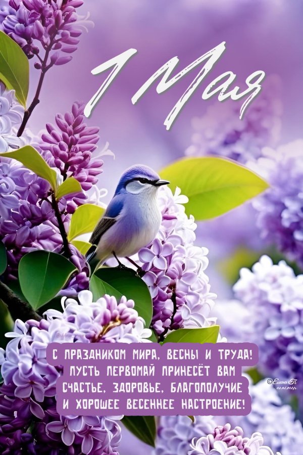 праздником весны и труда открытки