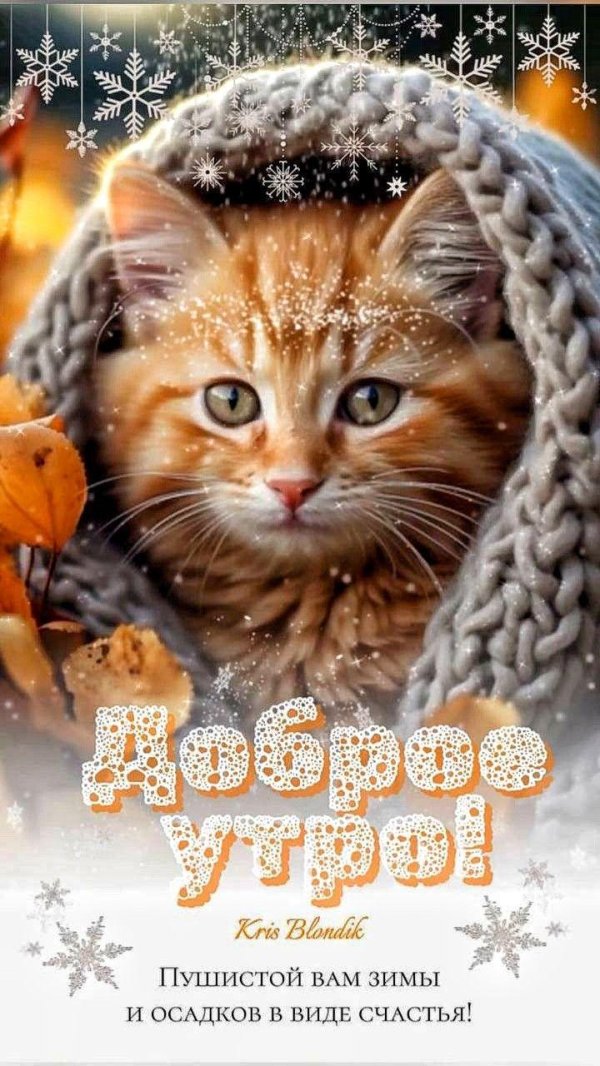 доброе утро февраля зима