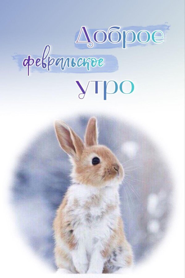 доброе феврпльское уиро