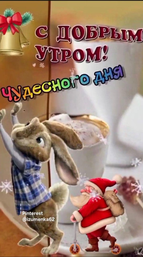 доброе утро кролик