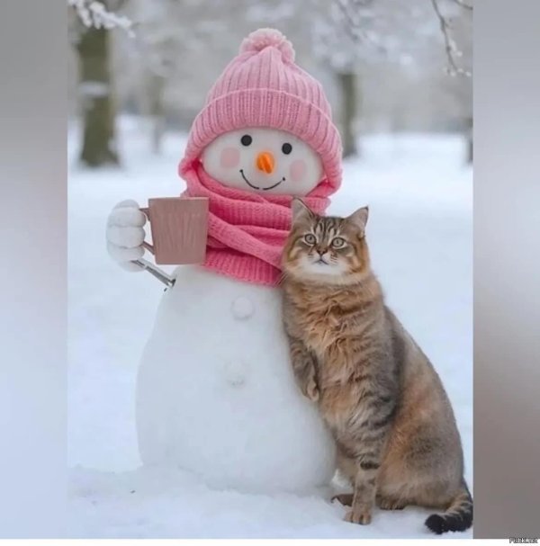 зима прикольные