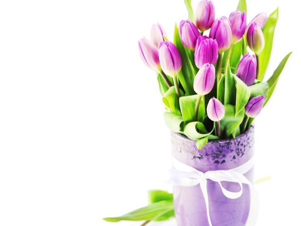 букет тюльпан