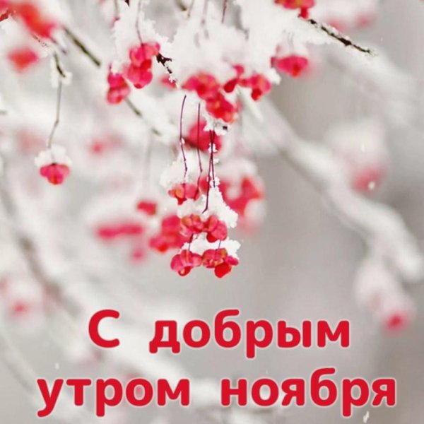 открытки доброе зимнее утречко