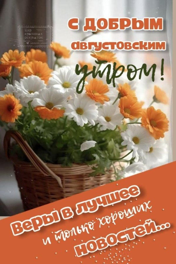 доброго утра летнего