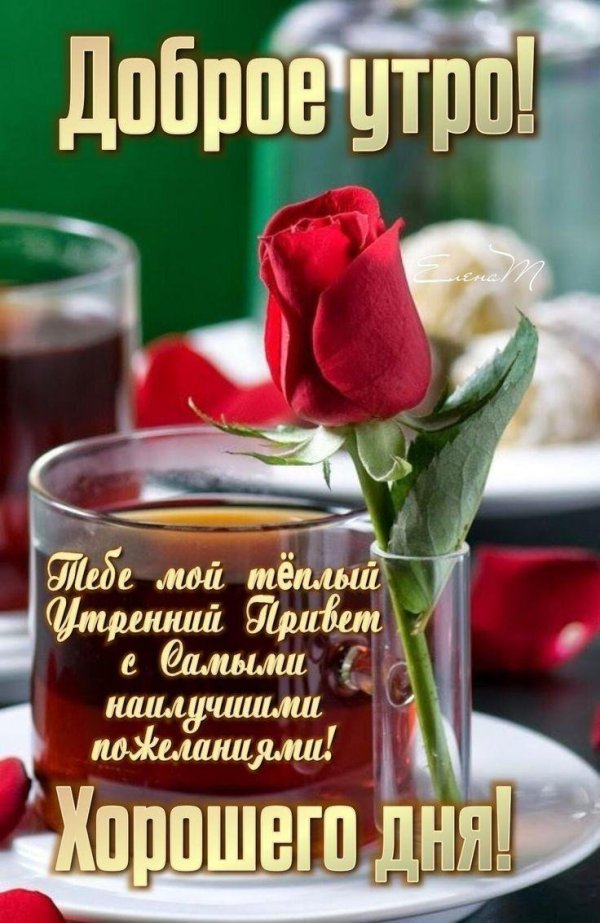 мой утренний привет