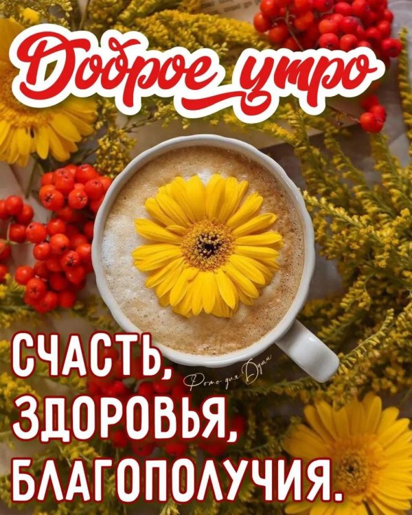 доброго утра здоровье