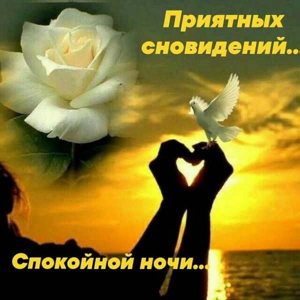 в сердце навечно