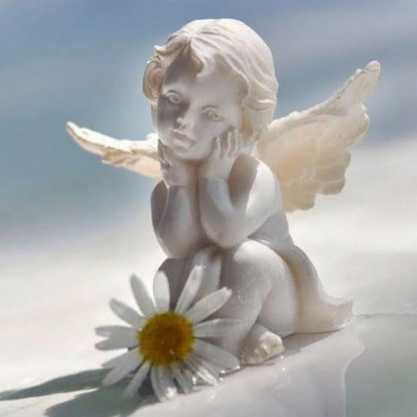 поберегите ангелов своих