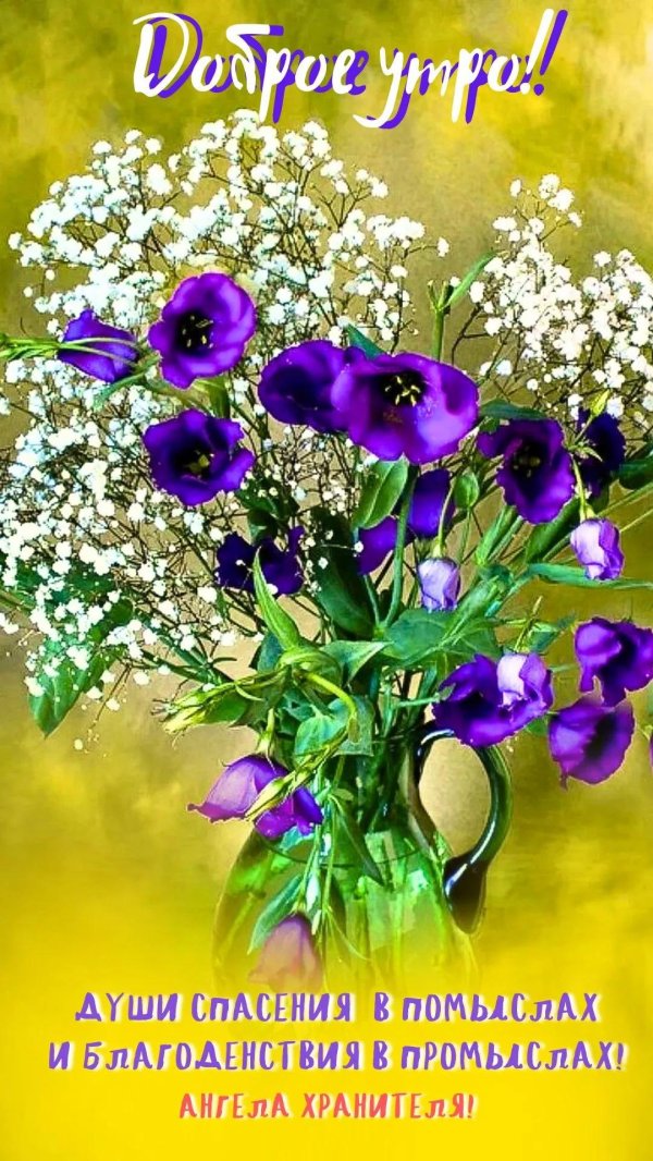 чудесные цветы