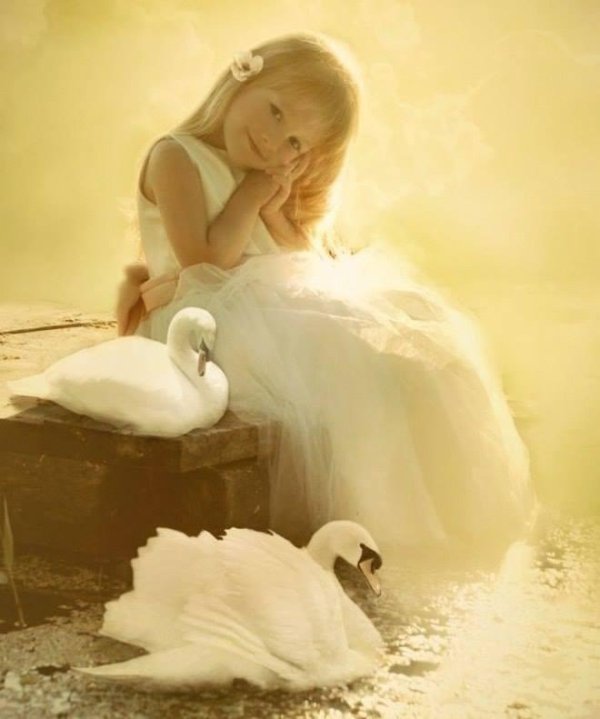 елена михайлова фотограф