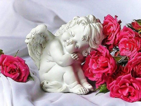 ангелочки цветы