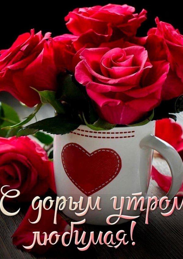 доброго утра розы