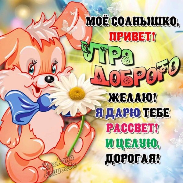 солнышко привет