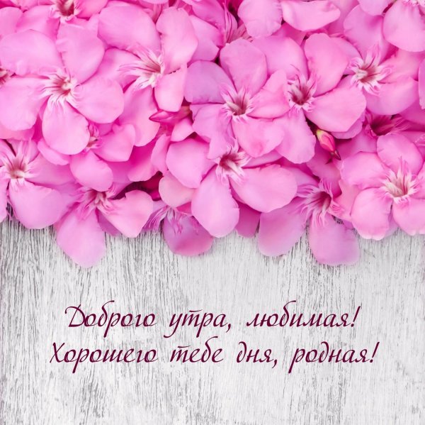 доброго утра любимой женщине