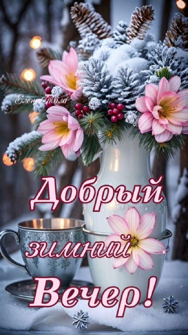 прекрасного зимнего вечера