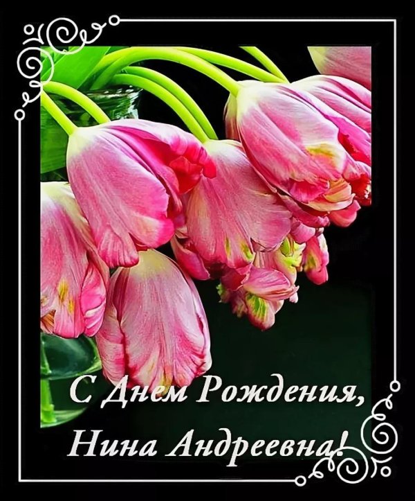 с днем рождения нина
