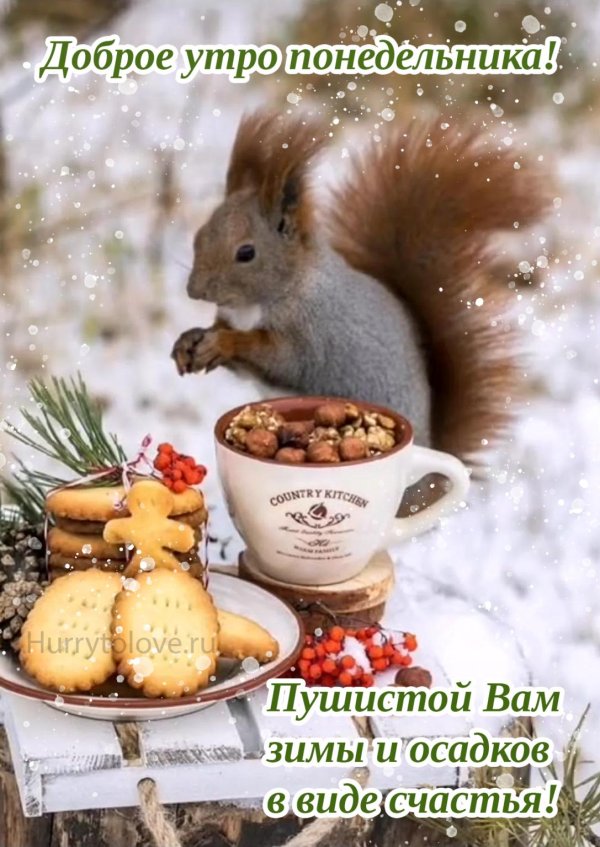 белочка с орешками