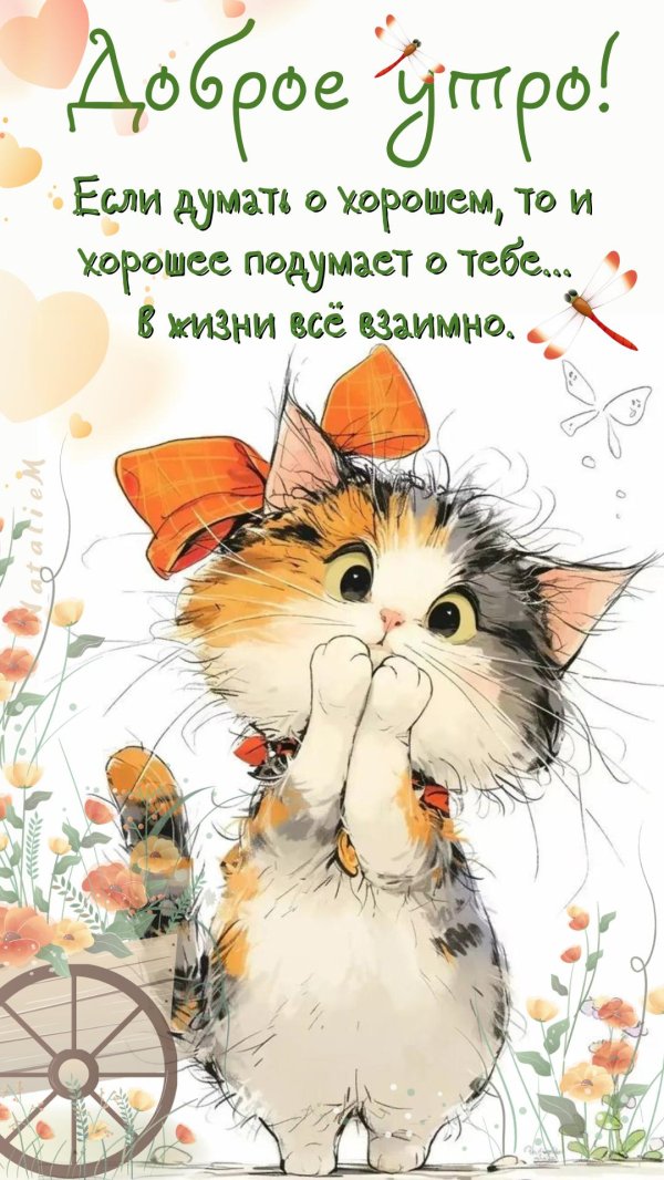 иллюстрация кот