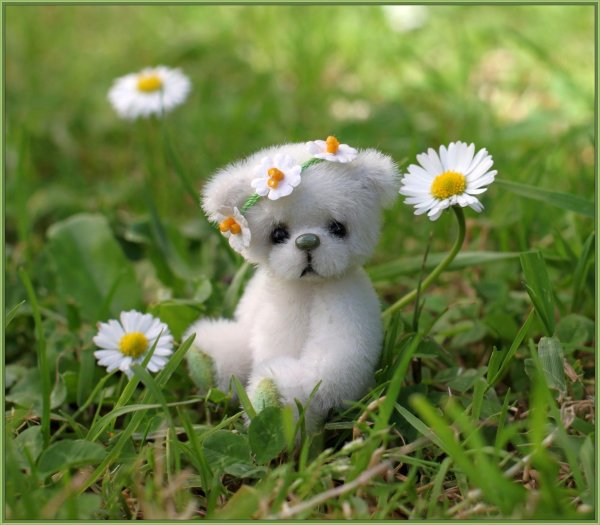 милые цветочки