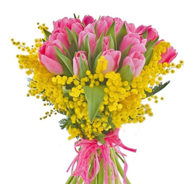 тюльпаны мимоза