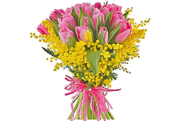 тюльпаны мимоза